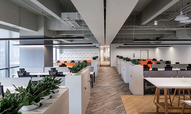 生物醫藥公司辦公室 生物醫藥公司辦公室