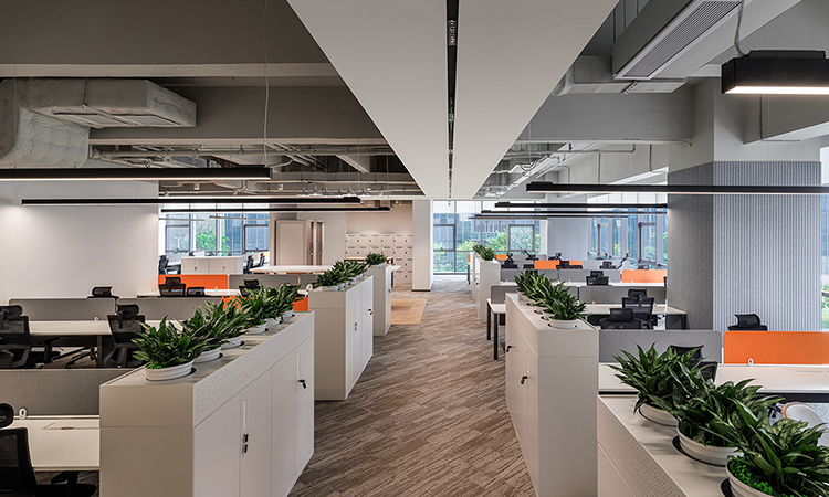 半開放員工區(qū)辦公室 半開放員工區(qū)辦公室